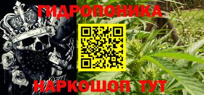 дживик Владивосток