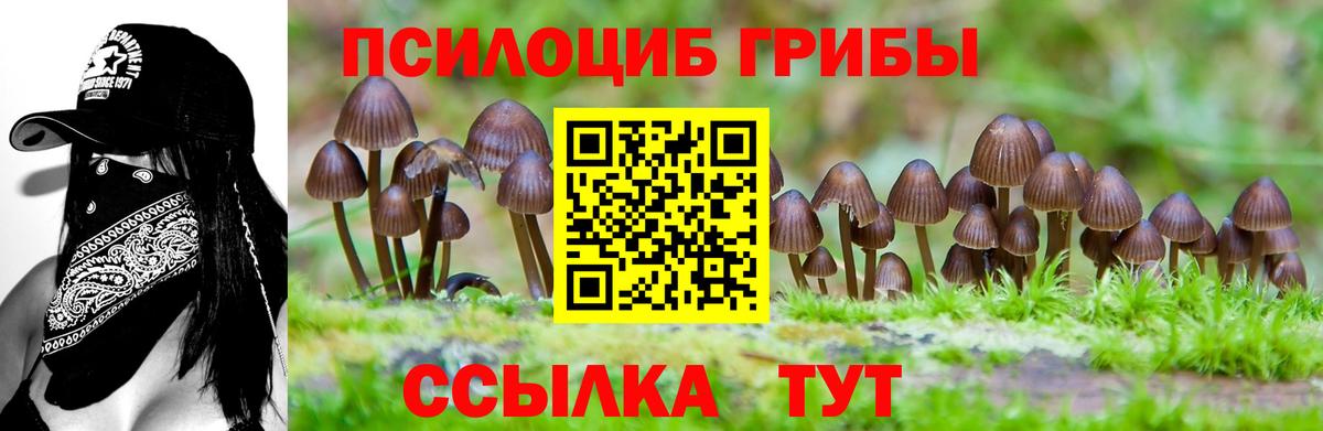 Галлюциногенные грибы мицелий Корсаков