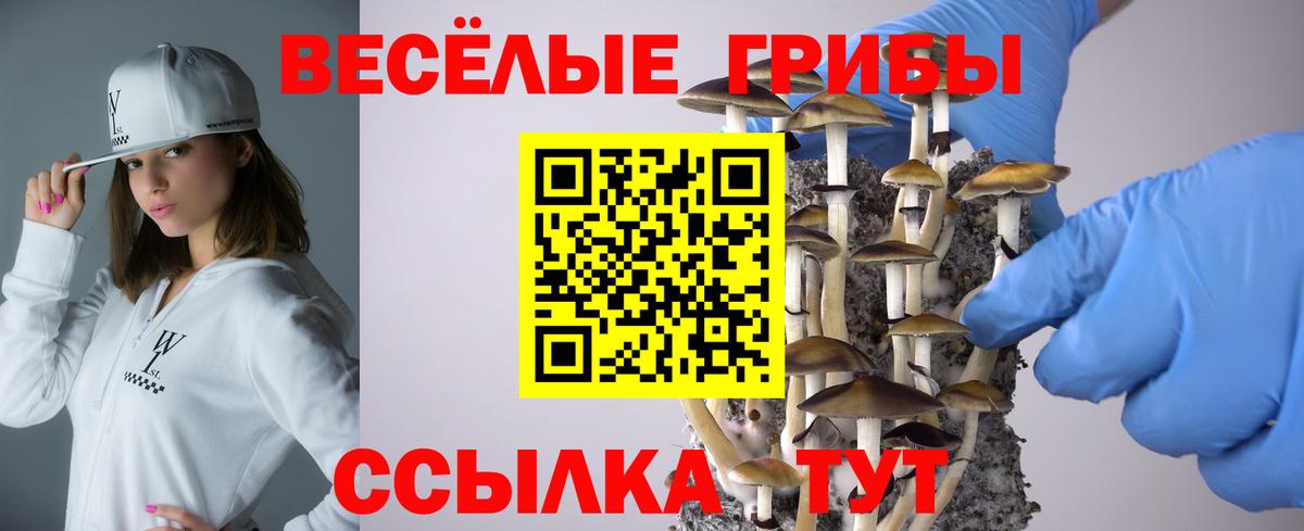 Галлюциногенные грибы Psilocybe  Вход с VPN  Корсаков  Псилоцибиновые грибы мухоморы 